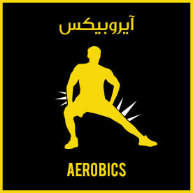 AEROBICS icon